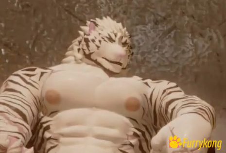 [免费][BL][动画视频][无码][FURRY]18+肉番 白虎酒肆 - 图片 2