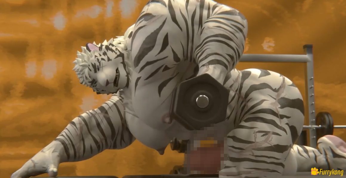 [BL][动画视频][无码][FURRY]18+肉番 白虎_健身房 - 图片 3
