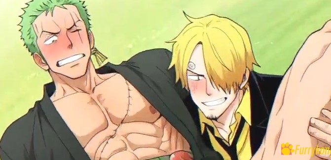 [免费][BL][动画视频][无码]18+肉番 海贼王 索隆X山治 - 图片 2