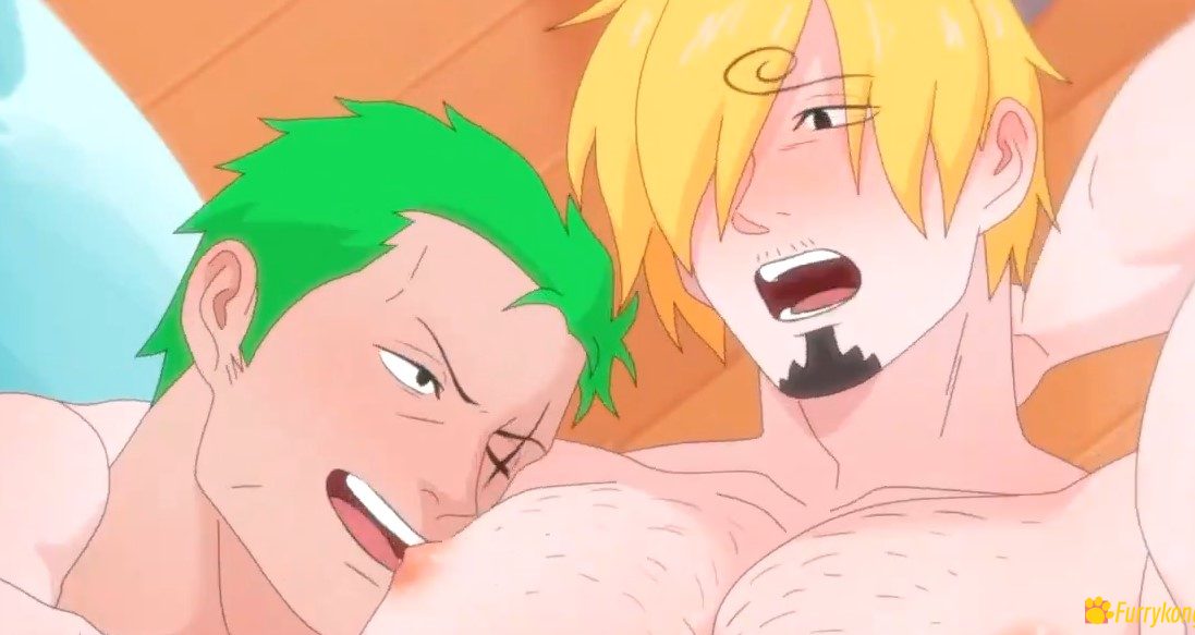 [免费][BL][动画视频][无码]18+肉番 海贼王 索隆X山治 - 图片 3
