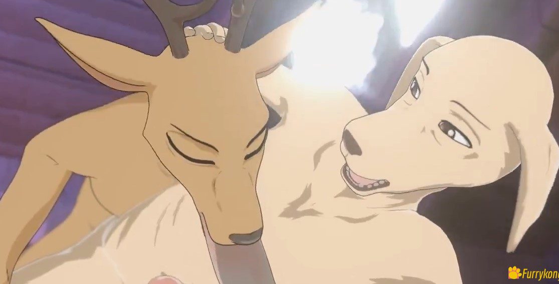[免费][无码][BL][动画视频][FURRY]18+肉番 酒店的邂逅 - 图片 3