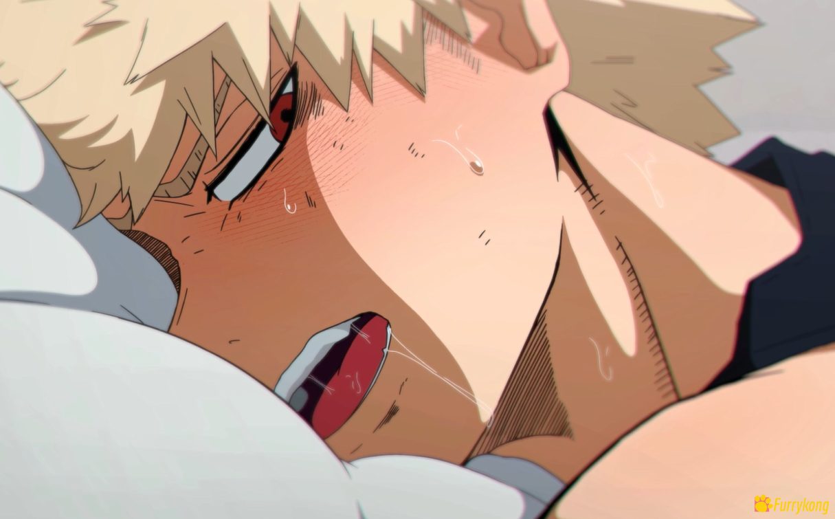 图片[3]-[BL][动画视频][成人]18+肉番  我的英雄学院BL番外-福瑞控