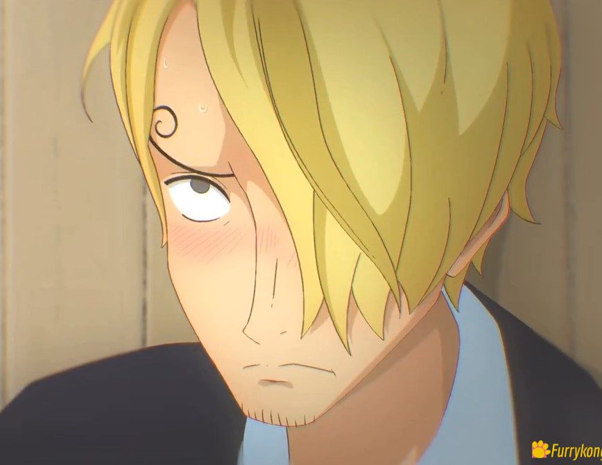 图片[4]-[免费][BL][动画视频][无码]18+肉番 海贼王 索隆X山治-福瑞控