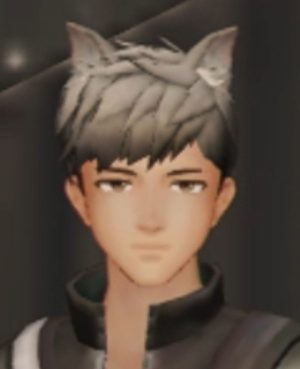 commandblock1的头像-福瑞控